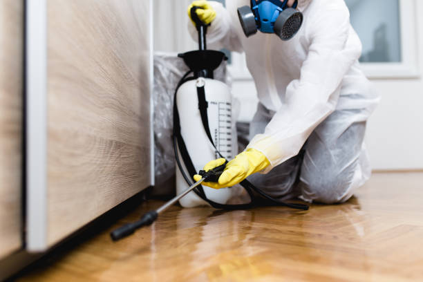 Best Mosquito Control Services  in Early, TX