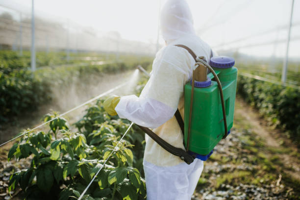 Best Best Pest Control Companies  in Early, TX